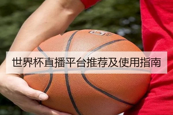 世界杯直播平台推荐及使用指南